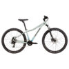 cannondale-trail-womens-8-sage-gray-professione-ciclismo