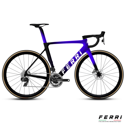 Ferri Bike Ariel Carbon Disc Professione Ciclismo