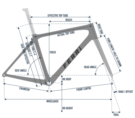 FERRI Bike Geometrie Ariel Carbon Disc Professione Ciclismo