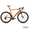 FERRI Bike RADHIA Carbon Disc Professione Ciclismo