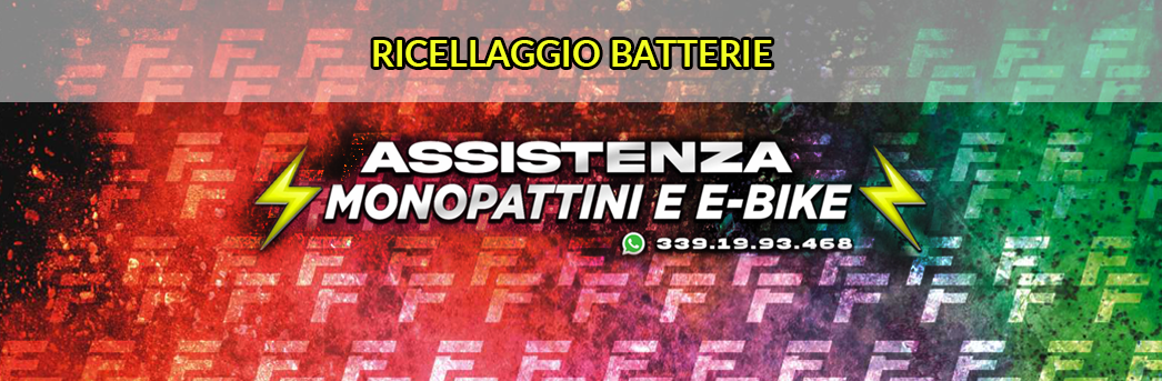 assistenza monopattini ladispoli